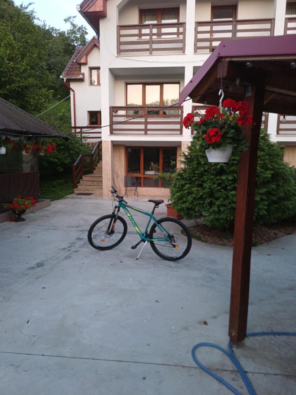 Pensiunea Valea Toplitei Rosia Exterior photo